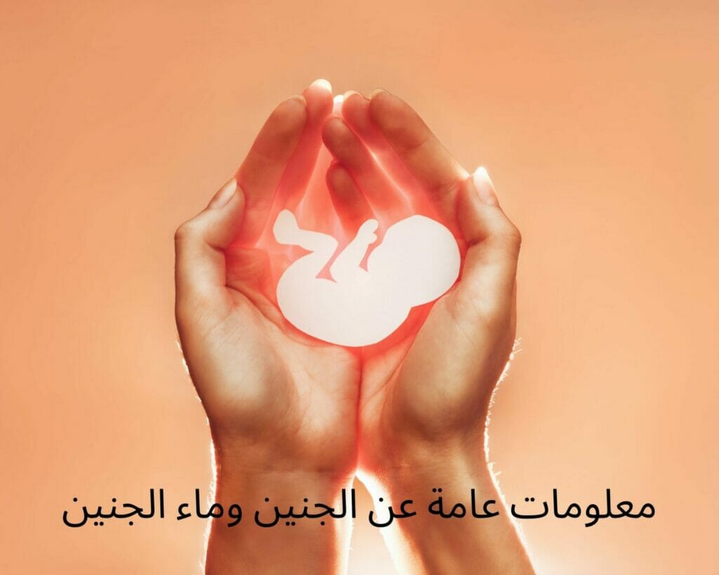 معلومات عامة عن الجنين وماء الجنين
