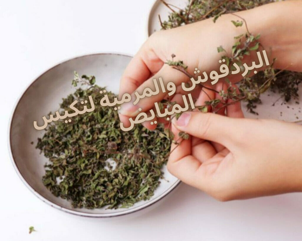 البردقوش والمرمية لتكيس المبايض