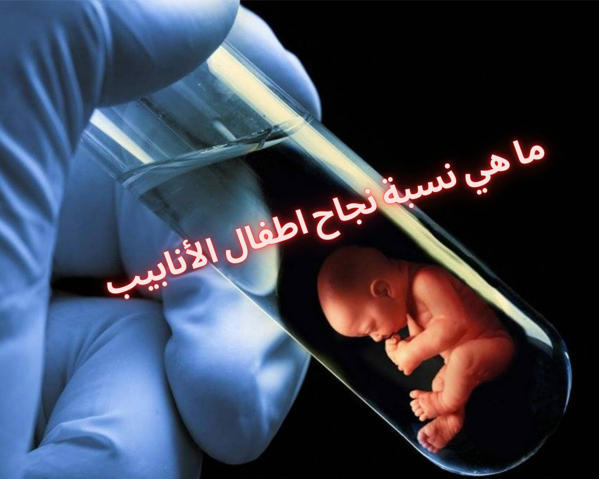 ما هي نسبة نجاح اطفال الأنابيب