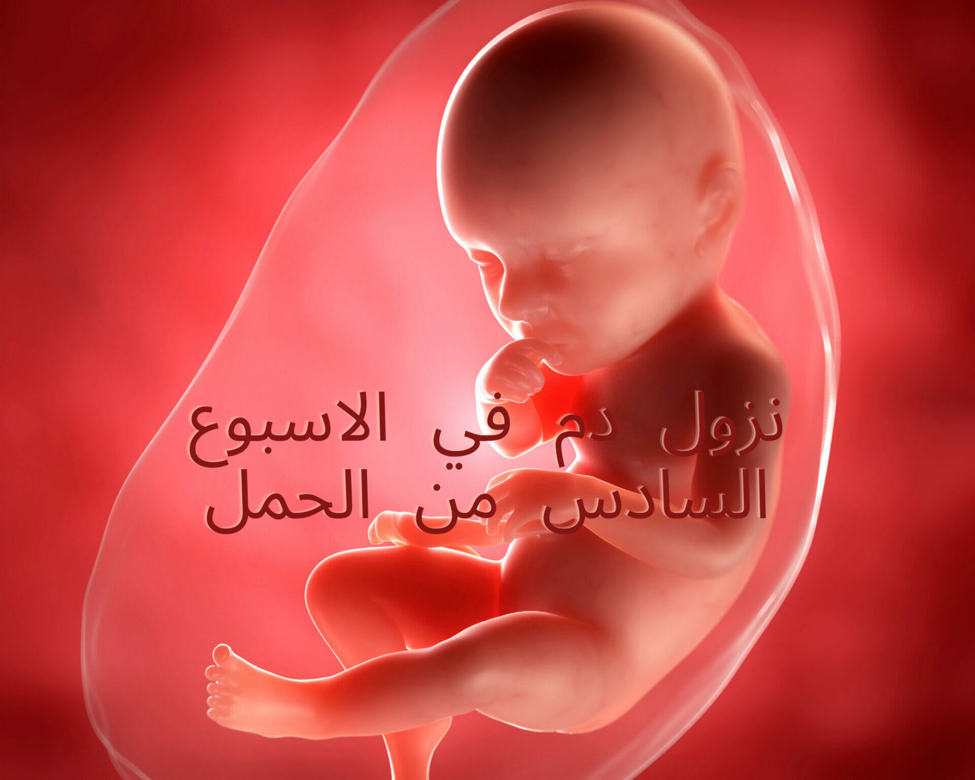 نزول دم في الاسبوع السادس من الحمل