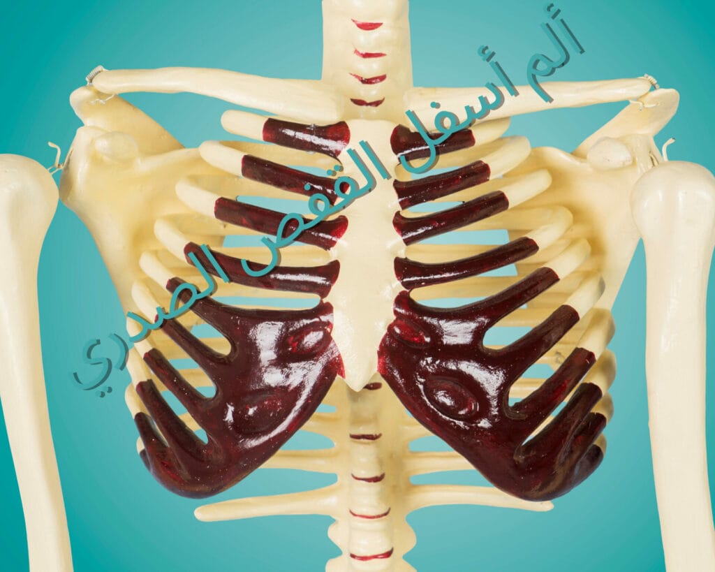 ألم أسفل القفص الصدري