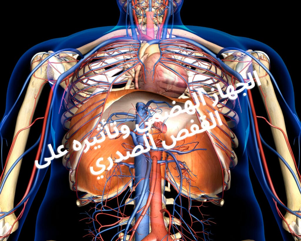 ألم أسفل القفص الصدري