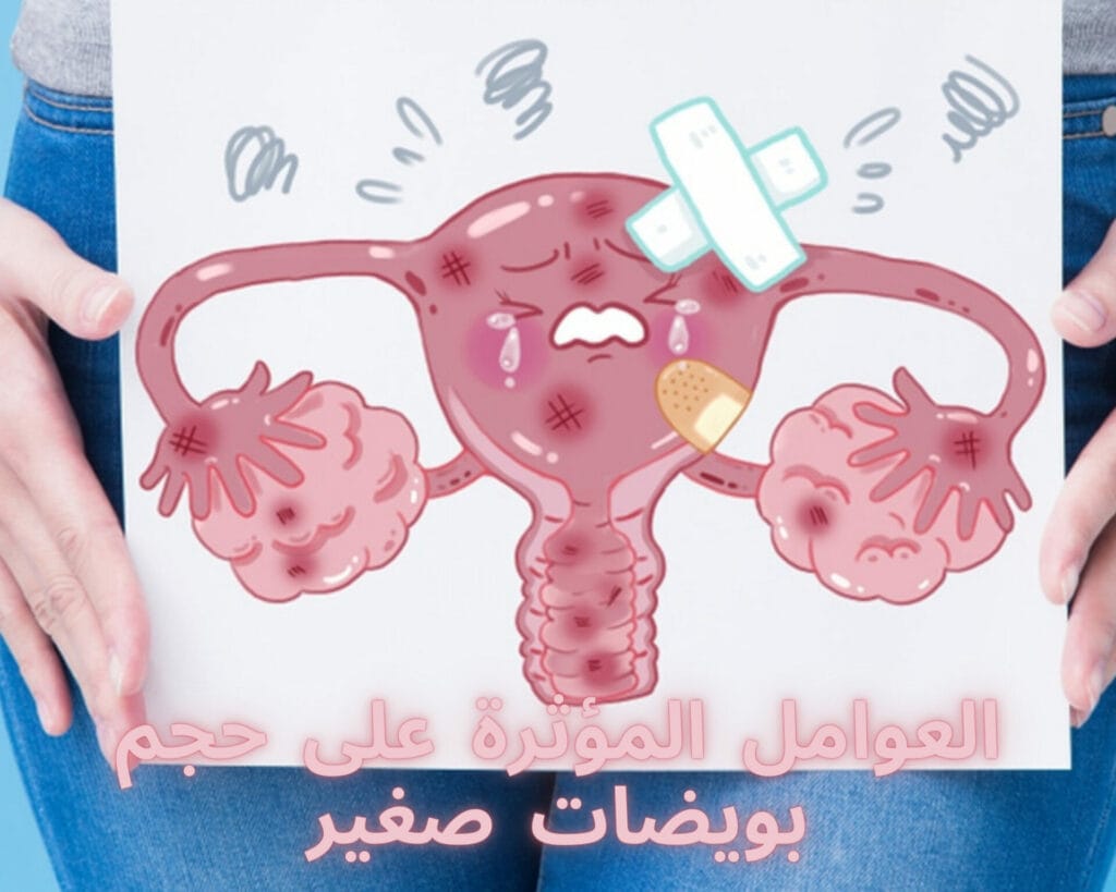 حجم بويضات صغير