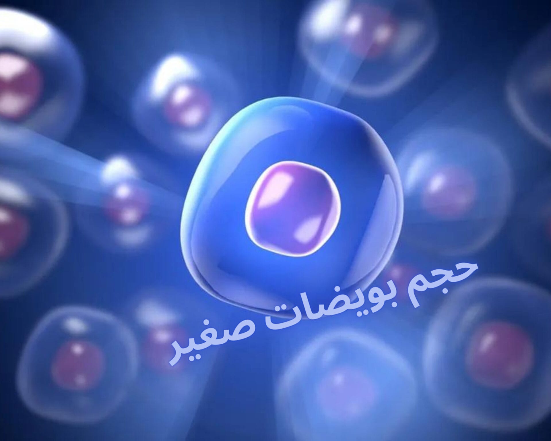 حجم بويضات صغير