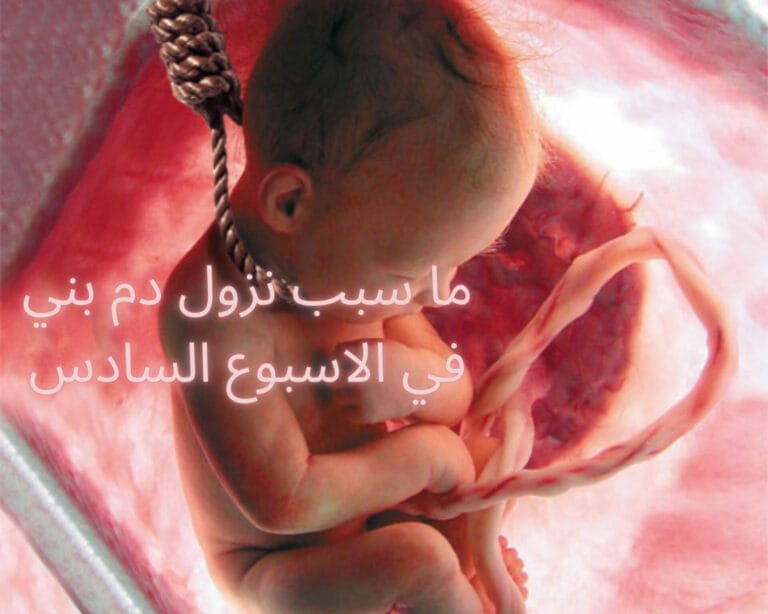 ما سبب نزول دم بني في الاسبوع السادس من الحمل