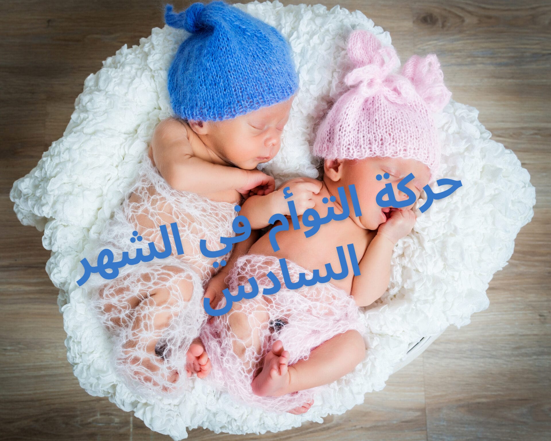 حركة التوأم في الشهر السادس