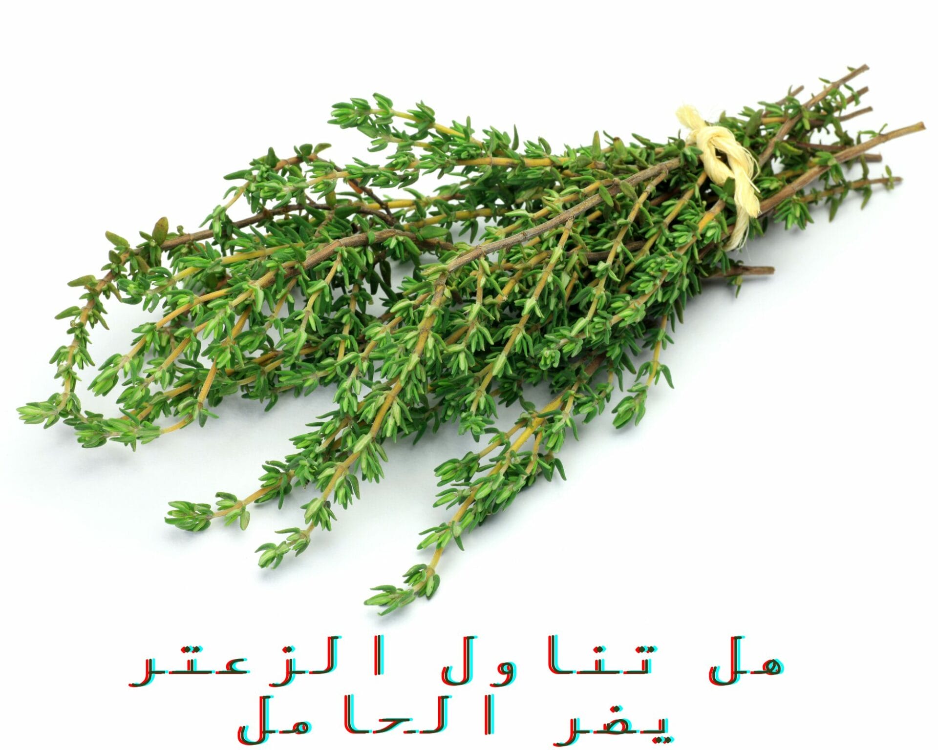 هل تناول الزعتر يضر الحامل