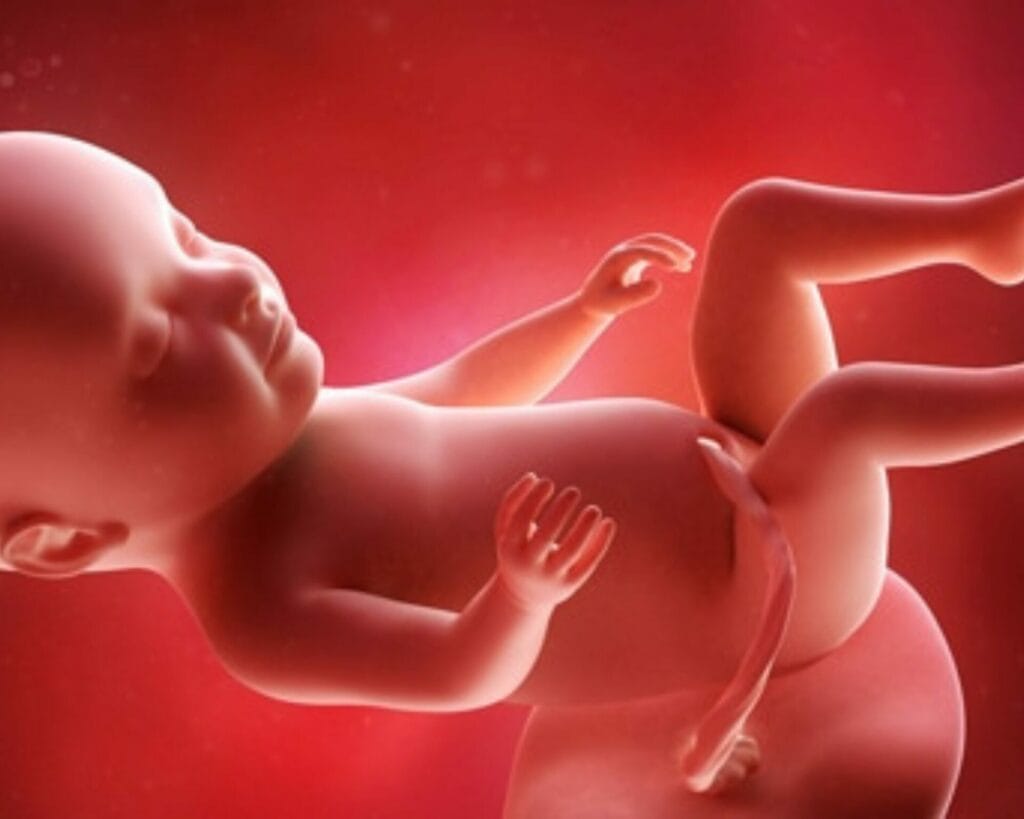 الأسبوع الواحد والثلاثون من الحمل