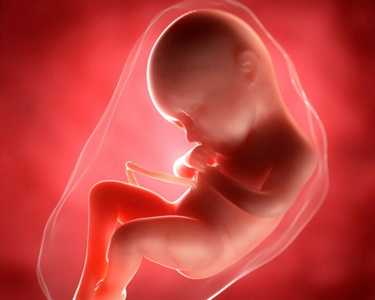 الأسبوع الواحد والثلاثون من الحمل