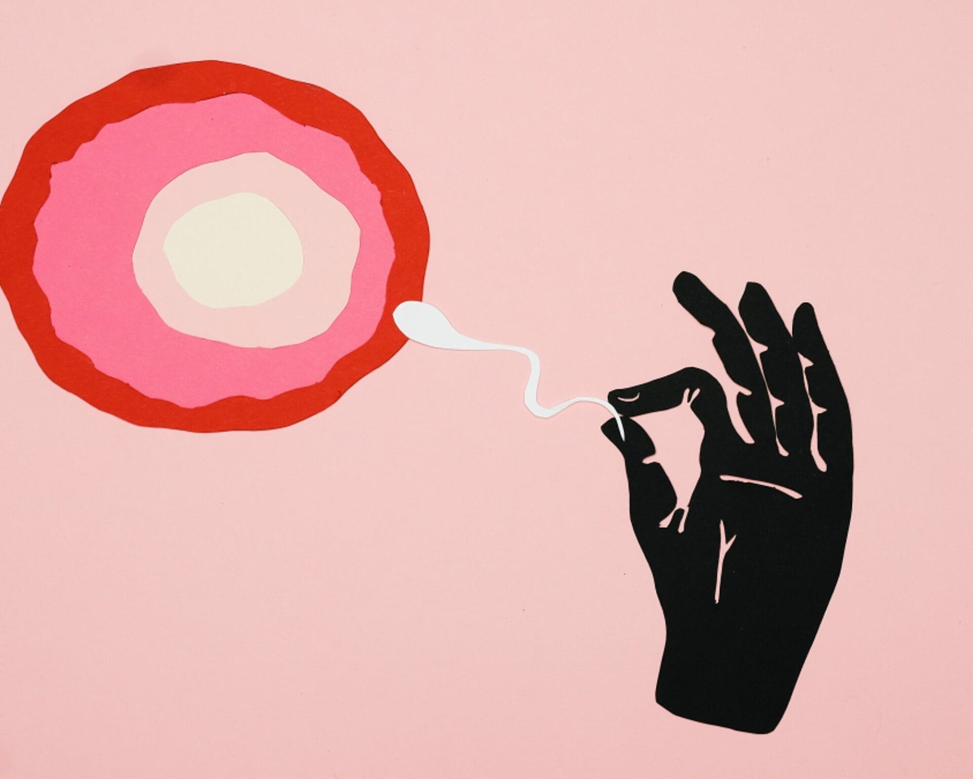 الأسباب التي تؤثر على يوم التبويض