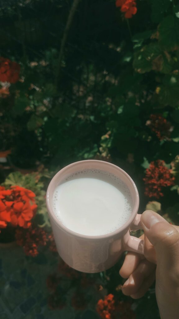 هل حليب الإبل يضر الأطفال