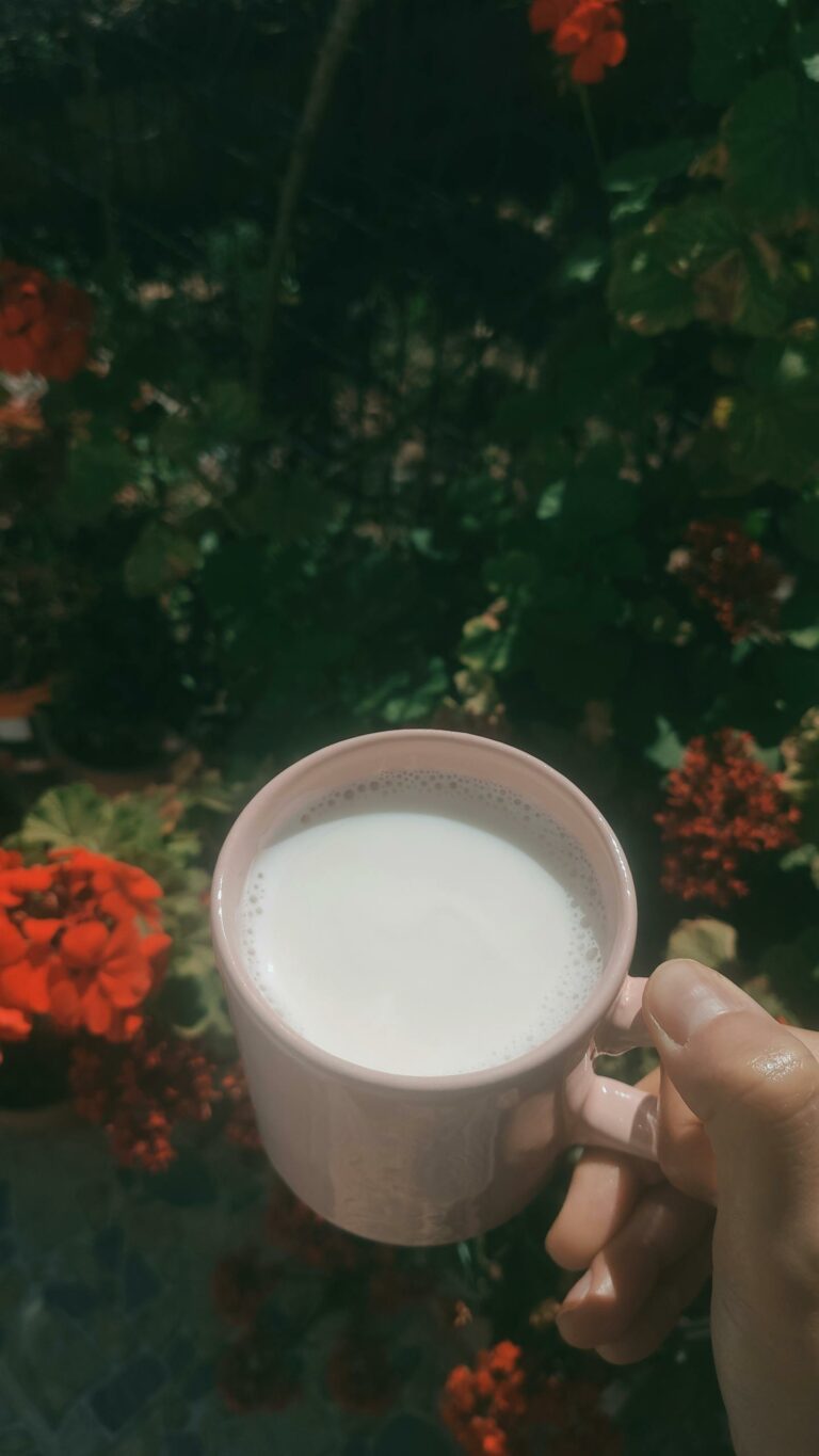 هل حليب الإبل يضر الأطفال